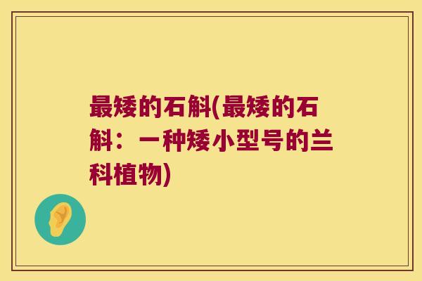 矮的石斛(矮的石斛:一种矮小型号的兰科植物) 矮的石斛(矮的石斛:一种矮小型号的兰科植物)