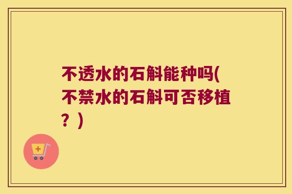 不透水的石斛能种吗(不禁水的石斛可否移植？)
