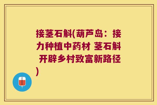 接茎石斛(葫芦岛:接力种植材 茎石斛 开辟乡村致富新路径) 接茎石斛(葫芦岛:接力种植材 茎石斛 开辟乡村致富新路径)
