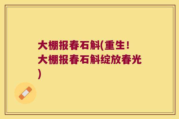 大棚报春石斛(重生！大棚报春石斛绽放春光)