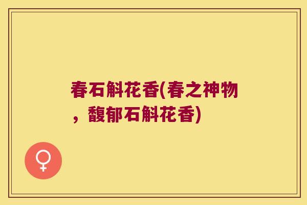 春石斛花香(春之神物，馥郁石斛花香)