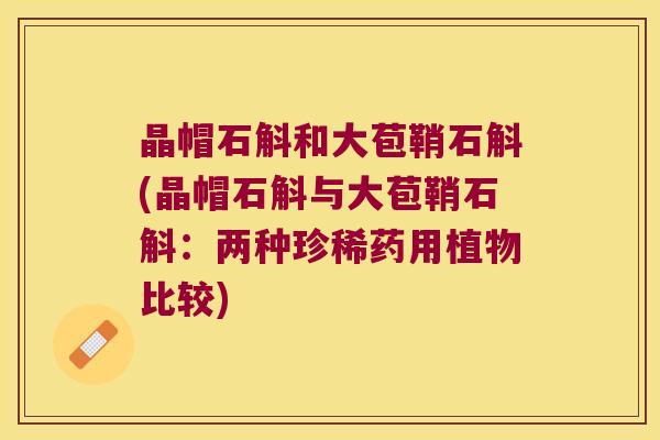 晶帽石斛和大苞鞘石斛(晶帽石斛与大苞鞘石斛：两种珍稀药用植物比较)