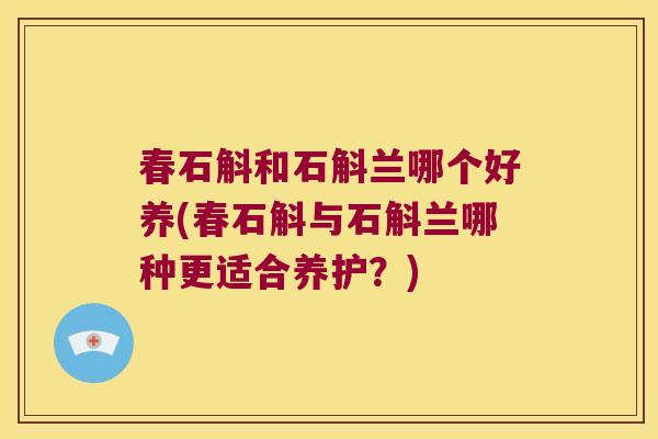 春石斛和石斛兰哪个好养(春石斛与石斛兰哪种更适合养护？)