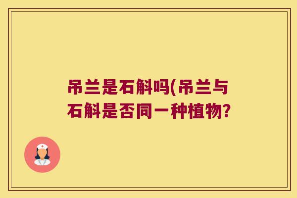 吊兰是石斛吗(吊兰与石斛是否同一种植物？