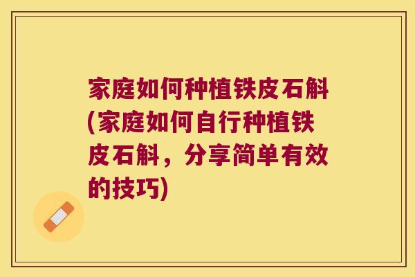 家庭如何种植铁皮石斛(家庭如何自行种植铁皮石斛,分享简单有效的技巧) 家庭如何种植铁皮石斛(家庭如何自行种植铁皮石斛,分享简单有效的技巧)