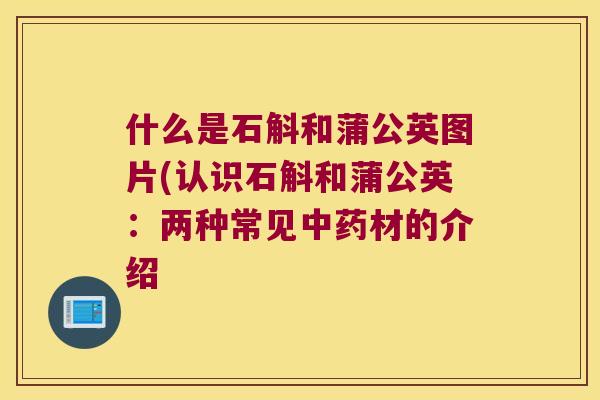 什么是石斛和蒲公英图片(认识石斛和蒲公英：两种常见材的介绍