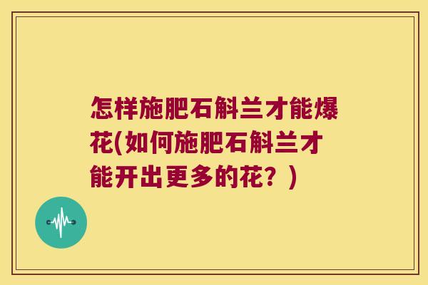 怎样施肥石斛兰才能爆花(如何施肥石斛兰才能开出更多的花？)