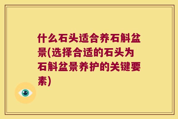什么石头适合养石斛盆景(选择合适的石头为石斛盆景养护的关键要素)