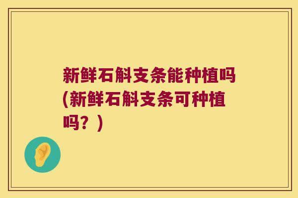 新鲜石斛支条能种植吗(新鲜石斛支条可种植吗？)