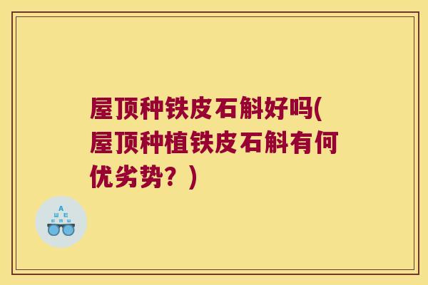 屋顶种铁皮石斛好吗(屋顶种植铁皮石斛有何优劣势？)