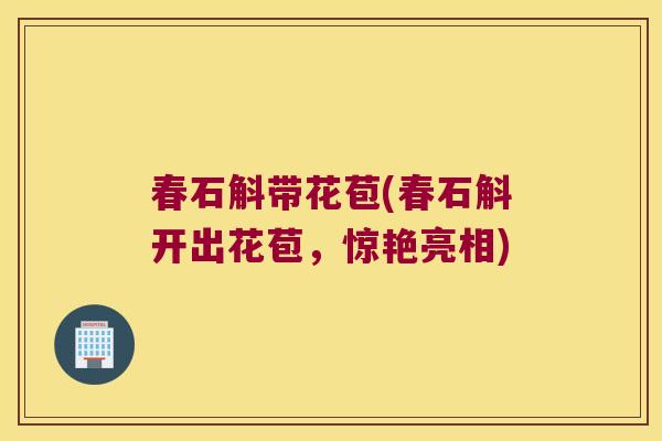 春石斛带花苞(春石斛开出花苞，惊艳亮相)