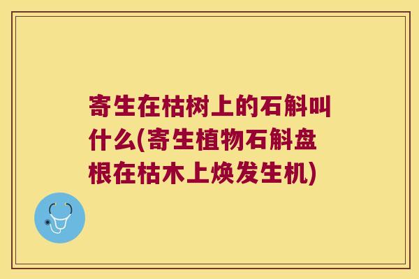 寄生在枯树上的石斛叫什么(寄生植物石斛盘根在枯木上焕发生机)