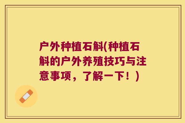 户外种植石斛(种植石斛的户外养殖技巧与注意事项，了解一下！)