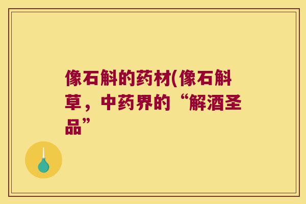 像石斛的药材(像石斛草，中药界的“解酒圣品”