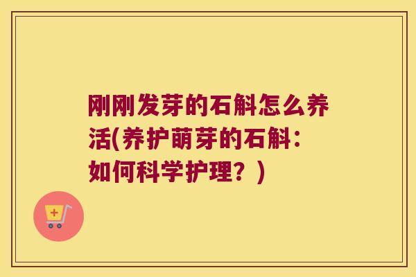 刚刚发芽的石斛怎么养活(养护萌芽的石斛：如何科学护理？)