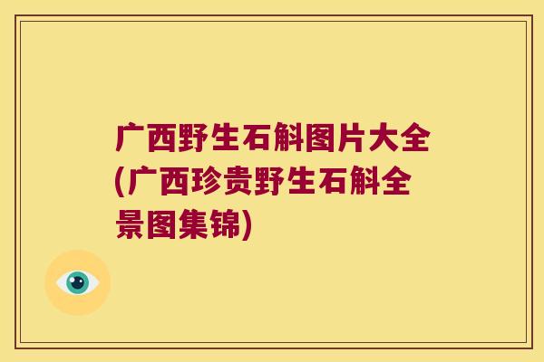 广西野生石斛图片大全(广西珍贵野生石斛全景图集锦)