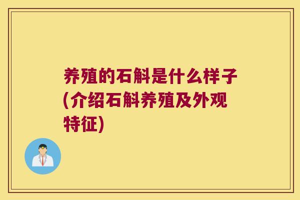 养殖的石斛是什么样子(介绍石斛养殖及外观特征) 养殖的石斛是什么样子(介绍石斛养殖及外观特征)