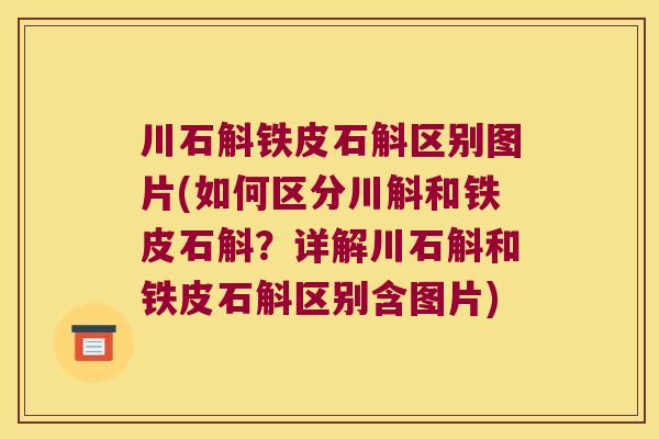 川石斛铁皮石斛区别图片(如何区分川斛和铁皮石斛？详解川石斛和铁皮石斛区别含图片)