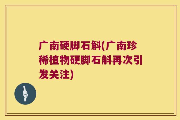 广南硬脚石斛(广南珍稀植物硬脚石斛再次引发关注)