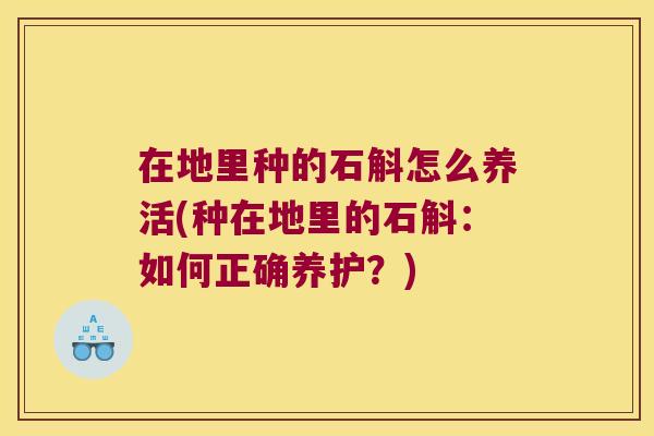 在地里种的石斛怎么养活(种在地里的石斛：如何正确养护？)