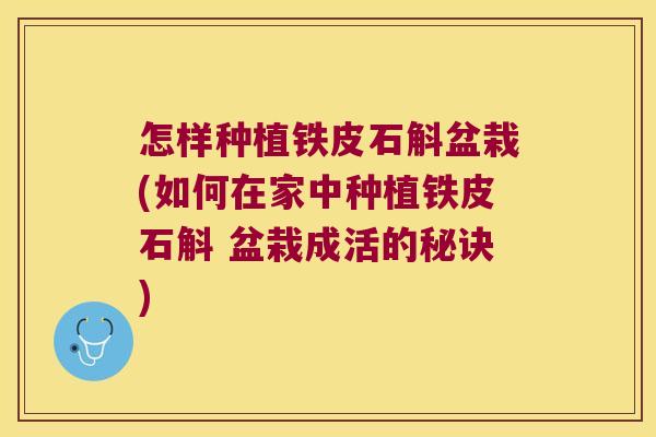 怎样种植铁皮石斛盆栽(如何在家中种植铁皮石斛 盆栽成活的秘诀)