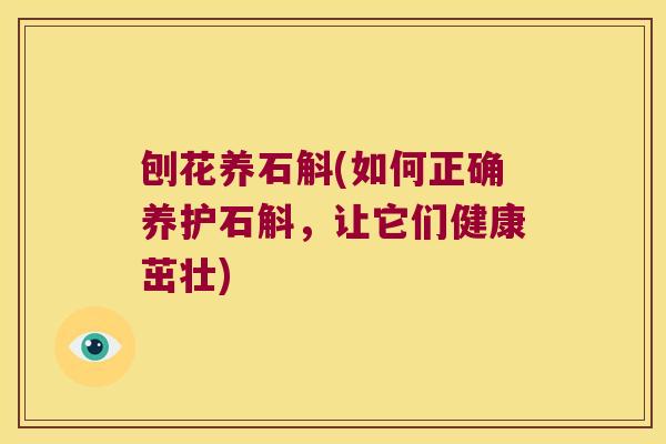刨花养石斛(如何正确养护石斛，让它们健康茁壮)