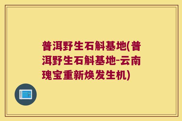 普洱野生石斛基地(普洱野生石斛基地-云南瑰宝重新焕发生机)