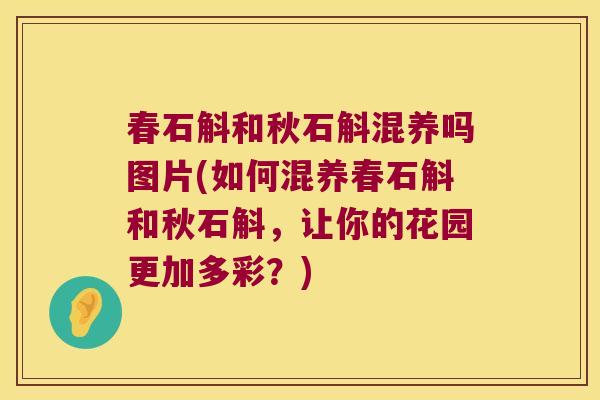 春石斛和秋石斛混养吗图片(如何混养春石斛和秋石斛，让你的花园更加多彩？)