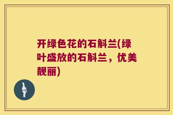 开绿色花的石斛兰(绿叶盛放的石斛兰，优美靓丽)