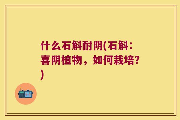 什么石斛耐阴(石斛：喜阴植物，如何栽培？)