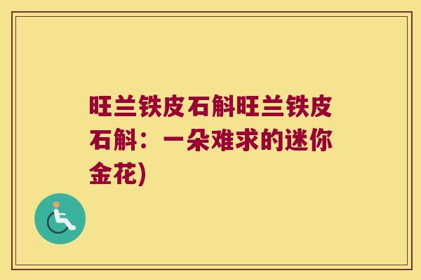 旺兰铁皮石斛旺兰铁皮石斛：一朵难求的迷你金花)