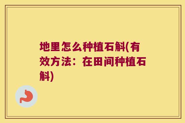 地里怎么种植石斛(有效方法：在田间种植石斛)