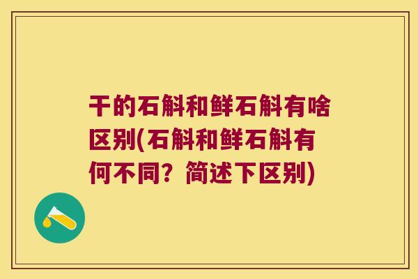 干的石斛和鲜石斛有啥区别(石斛和鲜石斛有何不同？简述下区别)