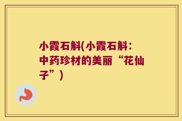小霞石斛(小霞石斛:珍材的美丽“花仙子”) 小霞石斛(小霞石斛:珍材的美丽“花仙子”)
