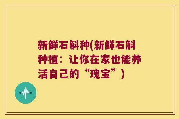 新鲜石斛种(新鲜石斛种植：让你在家也能养活自己的“瑰宝”)