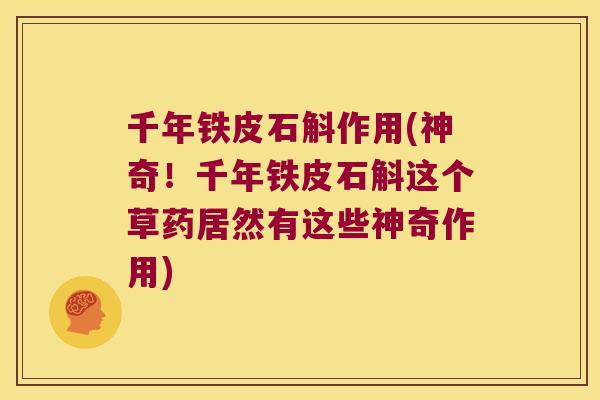 千年铁皮石斛作用(神奇!千年铁皮石斛这个草药居然有这些神奇作用) 千年铁皮石斛作用(神奇!千年铁皮石斛这个草药居然有这些神奇作用)