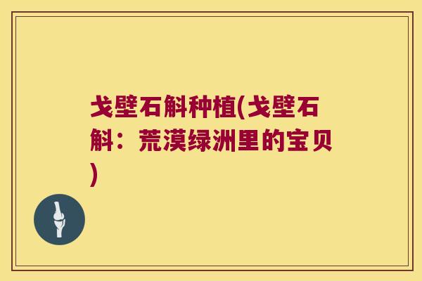 戈壁石斛种植(戈壁石斛：荒漠绿洲里的宝贝)
