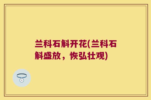 兰科石斛开花(兰科石斛盛放,恢弘壮观) 兰科石斛开花(兰科石斛盛放,恢弘壮观)