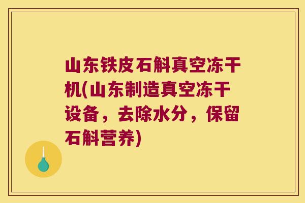 山东铁皮石斛真空冻干机(山东制造真空冻干设备，去除水分，保留石斛营养)