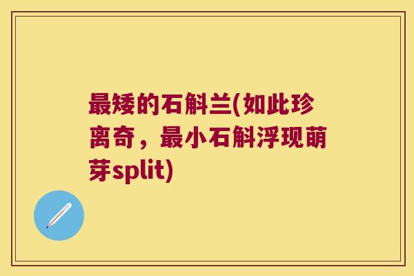 最矮的石斛兰(如此珍离奇，最小石斛浮现萌芽split)