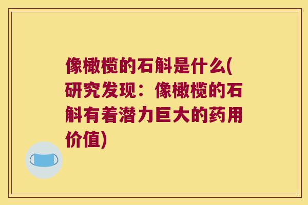 像橄榄的石斛是什么(研究发现：像橄榄的石斛有着潜力巨大的药用价值)