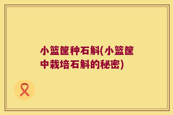 小篮筐种石斛(小篮筐中栽培石斛的秘密)