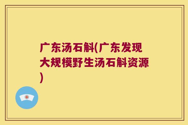 广东汤石斛(广东发现大规模野生汤石斛资源)
