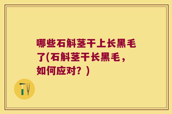 哪些石斛茎干上长黑毛了(石斛茎干长黑毛，如何应对？)