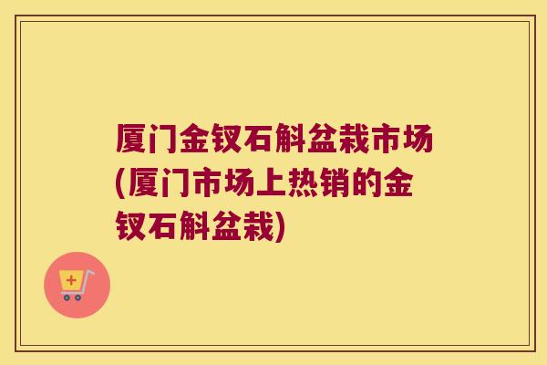 厦门金钗石斛盆栽市场(厦门市场上热销的金钗石斛盆栽)