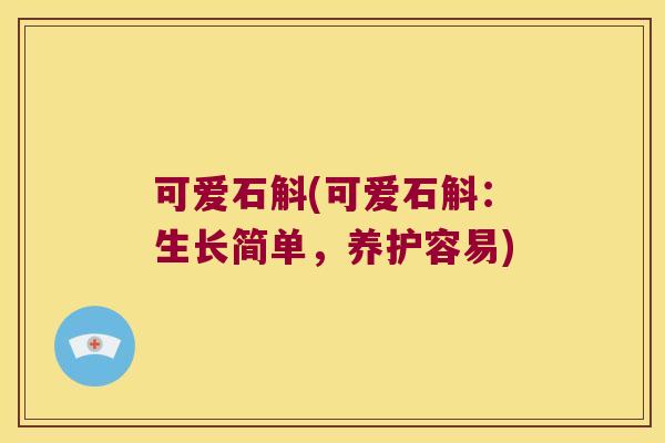 可爱石斛(可爱石斛：生长简单，养护容易)