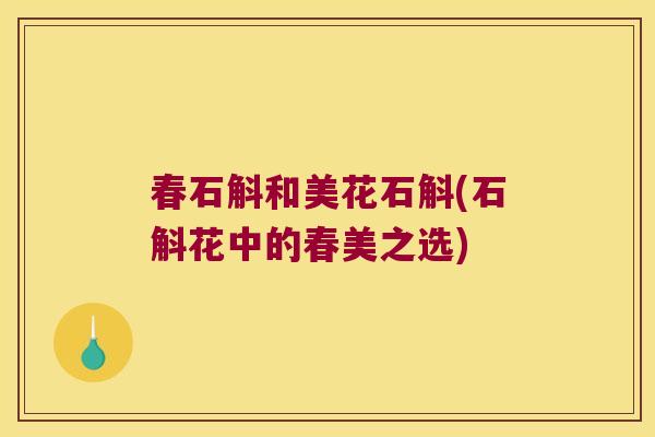 春石斛和美花石斛(石斛花中的春美之选)