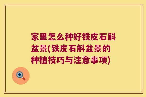 家里怎么种好铁皮石斛盆景(铁皮石斛盆景的种植技巧与注意事项)
