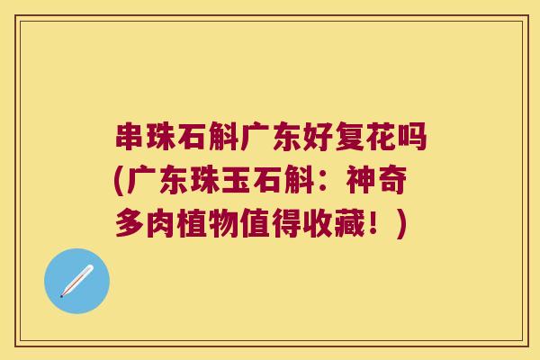串珠石斛广东好复花吗(广东珠玉石斛：神奇多肉植物值得收藏！)