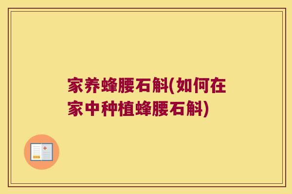 家养蜂腰石斛(如何在家中种植蜂腰石斛) 家养蜂腰石斛(如何在家中种植蜂腰石斛)